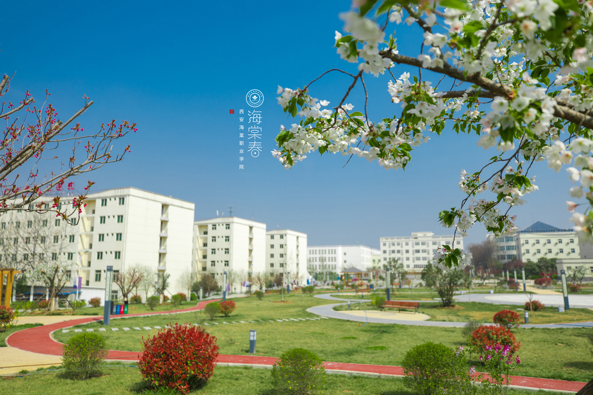 你好,人间四月天!-西安海棠职业学院