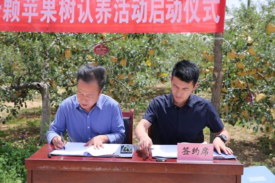 说明: 145A5937