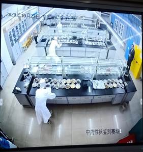 说明: E:\西安海棠职业学院工作记录\专项工作\技能比赛\2020年省级中药传统技能竞赛\IMG20201027083317.jpg